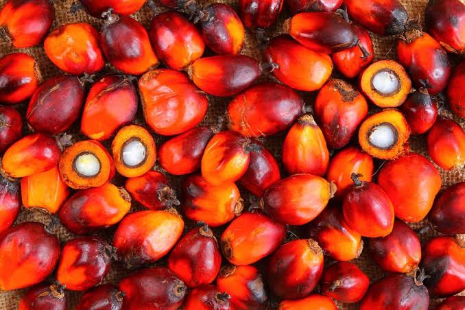 Red palm oil business