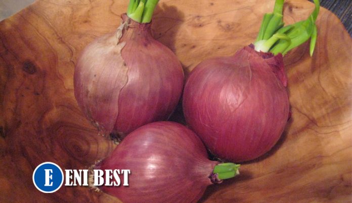 How to start onion Farming production in nigeria eni best