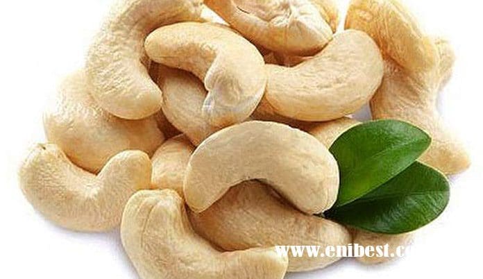 cashew nut business
