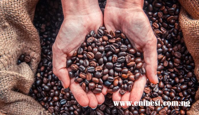 coffee farming eni best