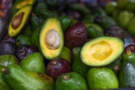 Avocado farming, pear farming
