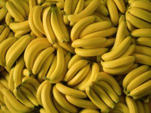 banana farming